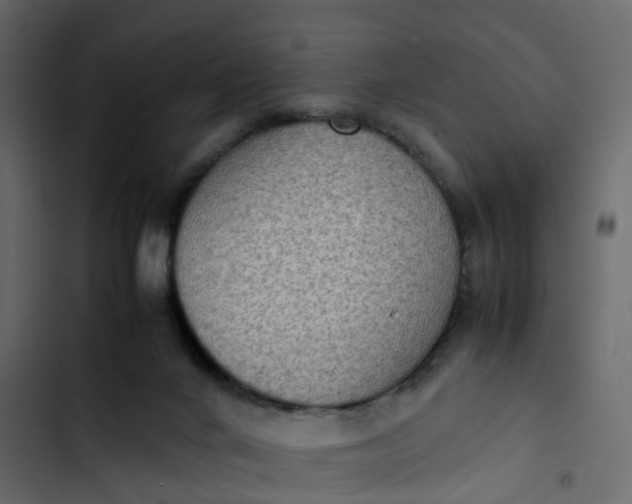 X0000102860024200809021434