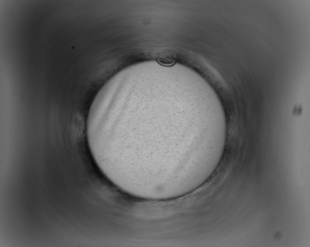 X0000102860025200809021434