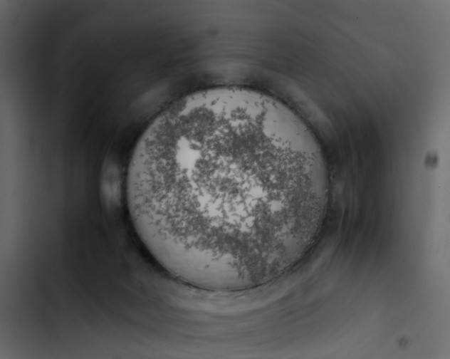 X0000102860026200809021434