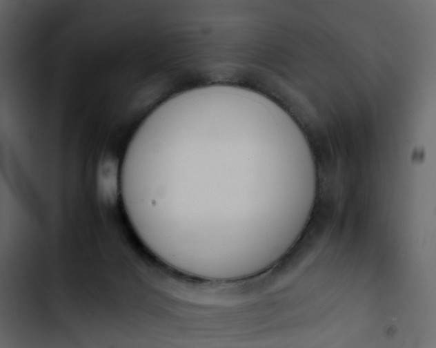 X0000102860028200809021434