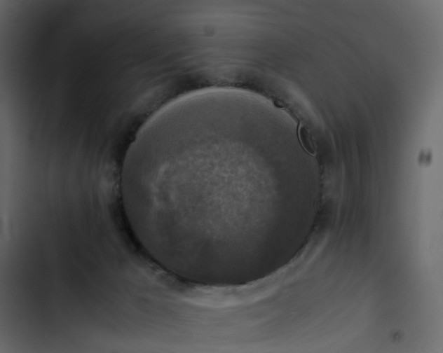 X0000102860029200809021434