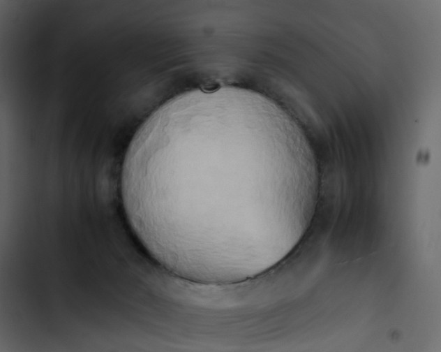 X0000102860030200809021434