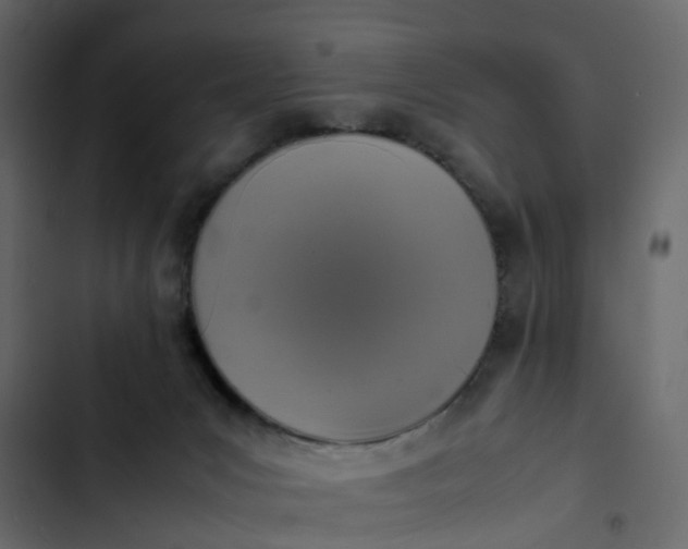 X0000102860031200809021434