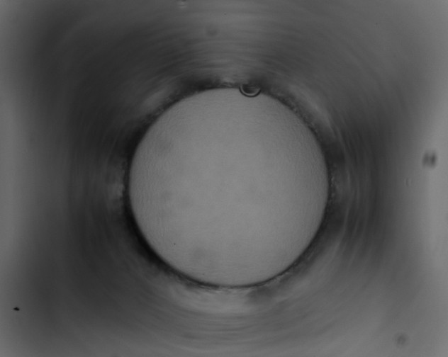 X0000102860032200809021434