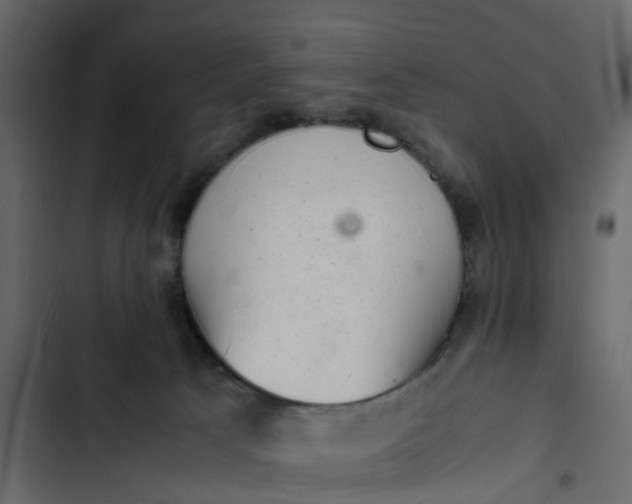 X0000102860033200809021434