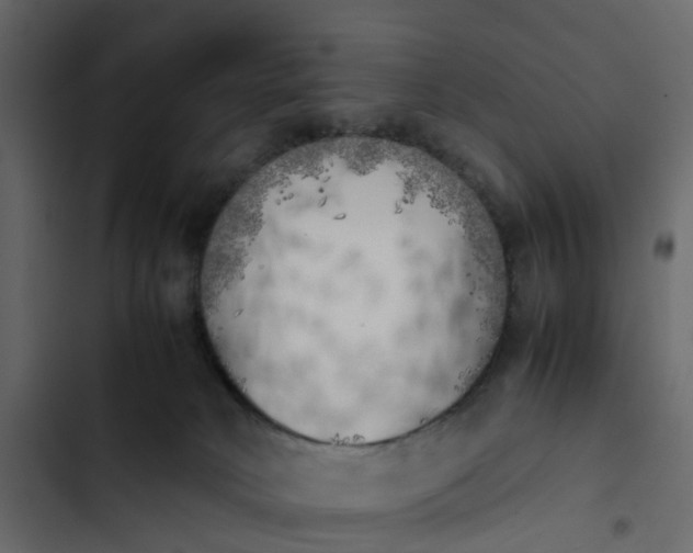 X0000102860034200809021434