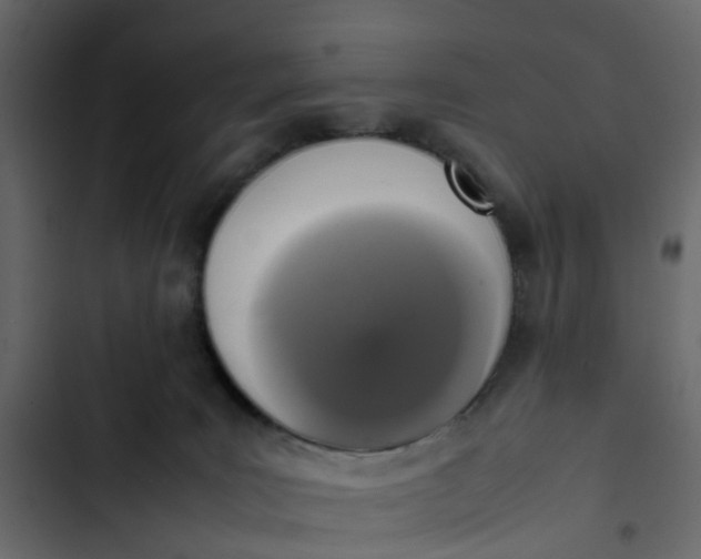 X0000102860035200809021434