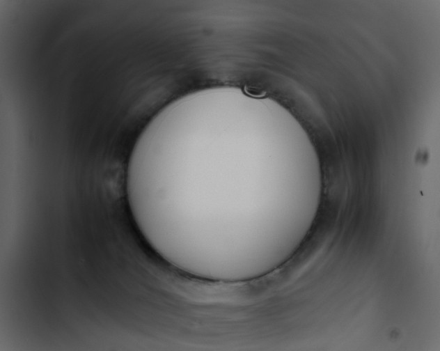 X0000102860036200809021434