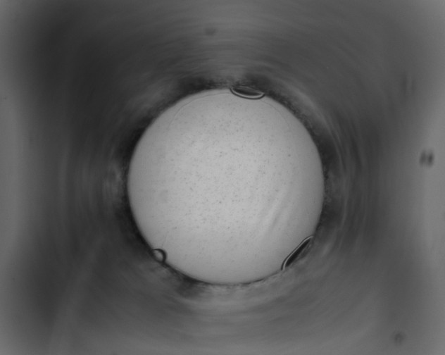 X0000102860037200809021434