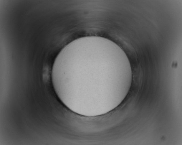 X0000102860038200809021434