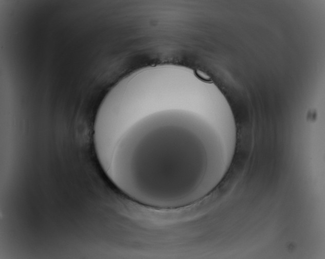 X0000102860039200809021434