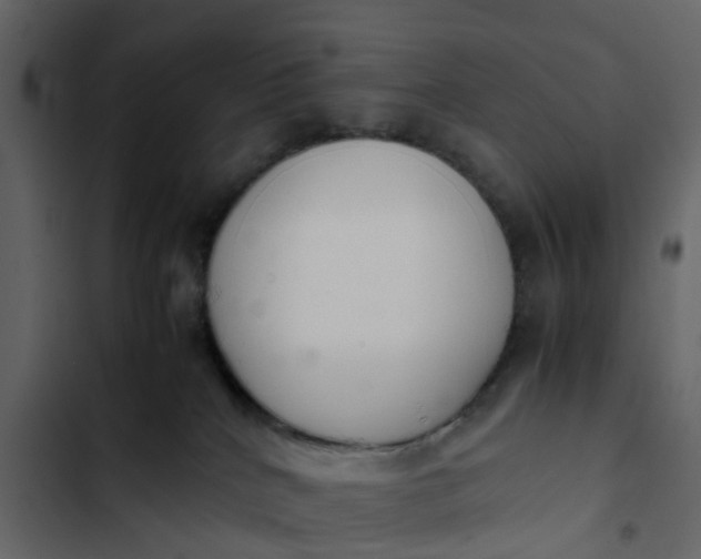 X0000102860040200809021434