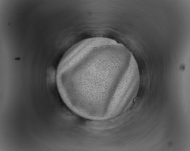 X0000102860041200809021434