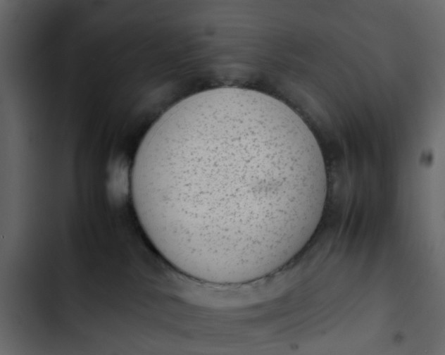 X0000102860042200809021434