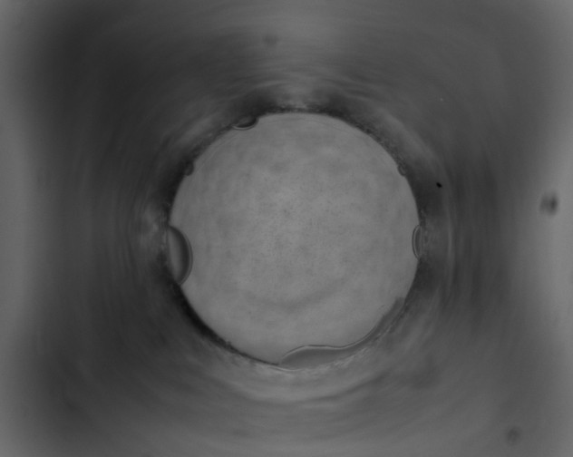 X0000102860043200809021434