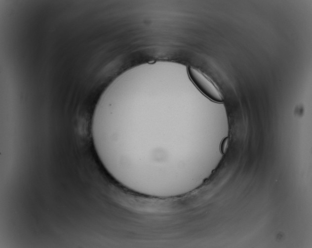 X0000102860044200809021434