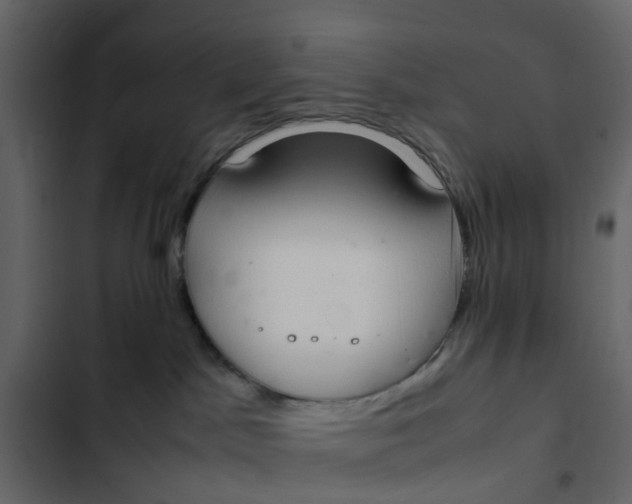 X0000102860045200809021434