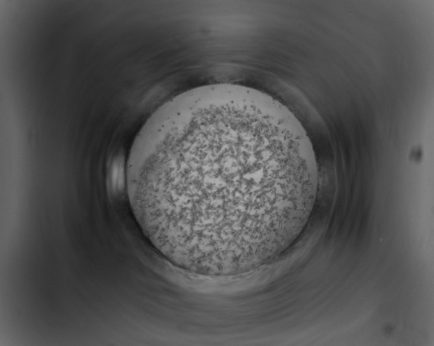 X0000102860046200809021434