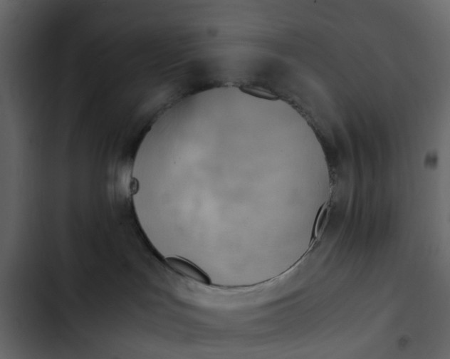 X0000102860047200809021434