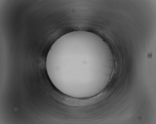 X0000102860048200809021434