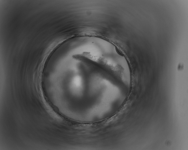 X0000102860049200809021433