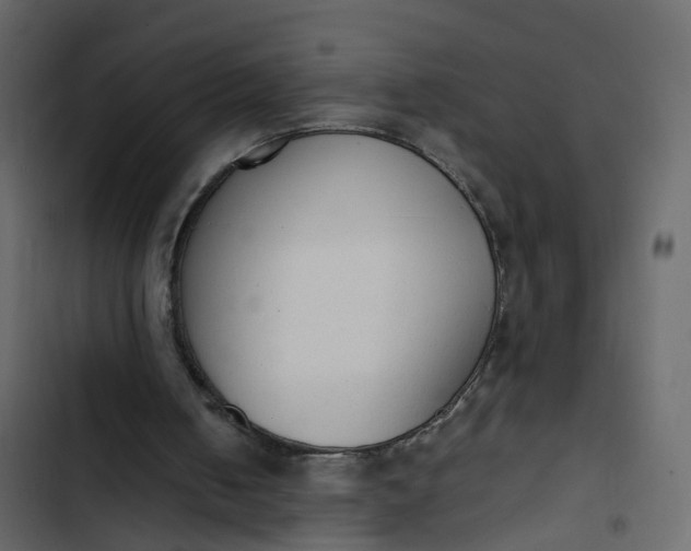 X0000102860050200809021433