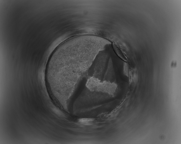 X0000102860051200809021433