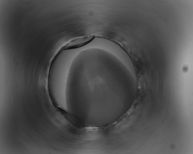 X0000102860052200809021434