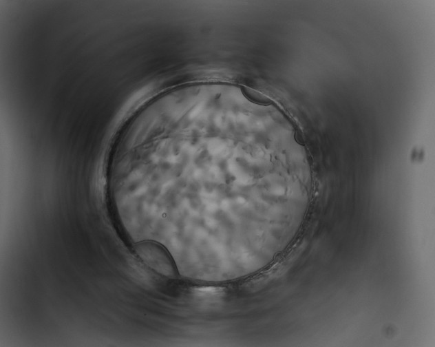 X0000102860053200809021434