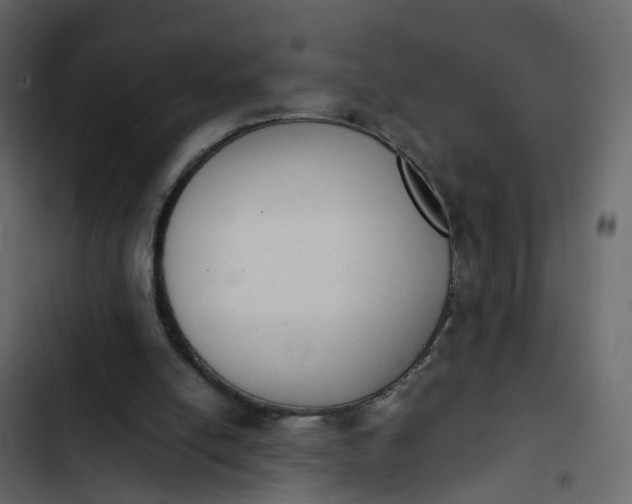 X0000102860054200809021434