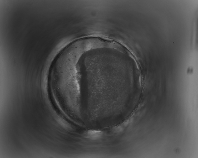 X0000102860055200809021434