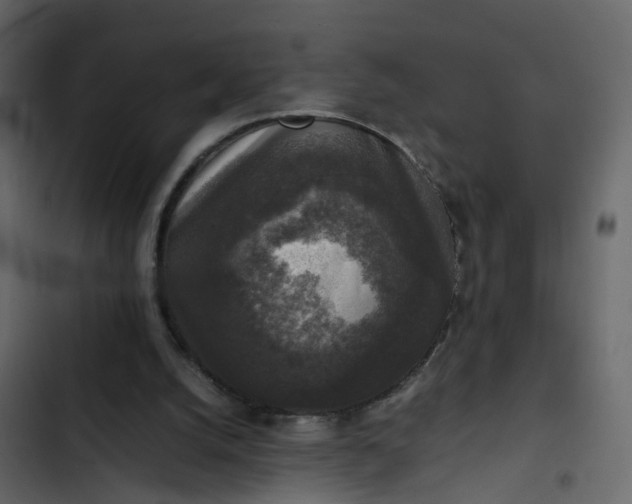 X0000102860056200809021434