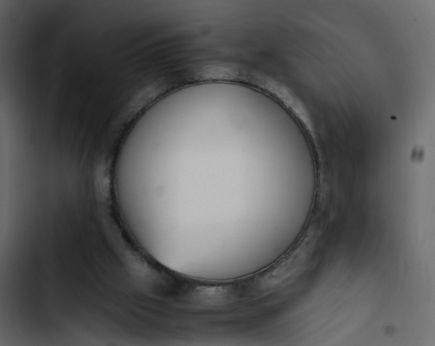 X0000102860057200809021434