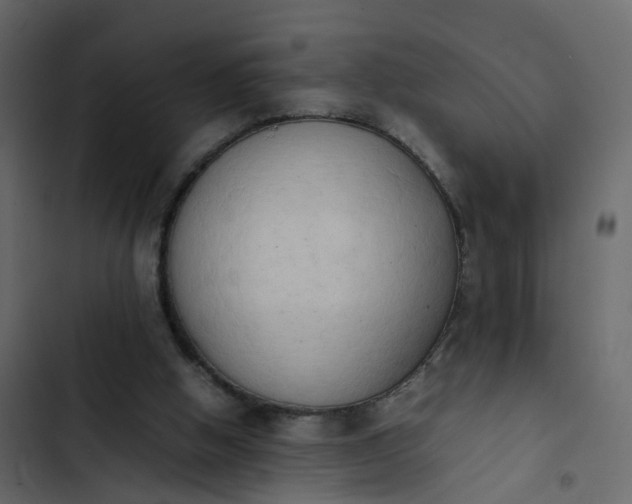 X0000102860058200809021434