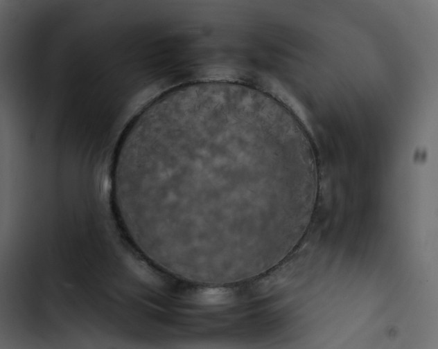 X0000102860059200809021434