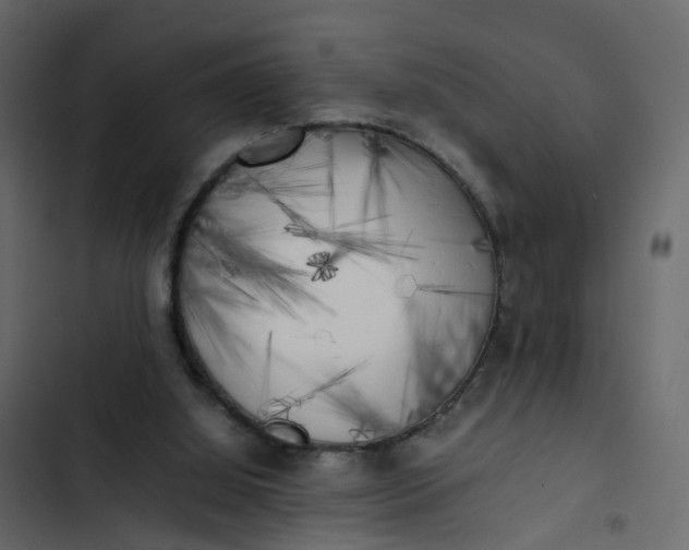 X0000102860060200809021434