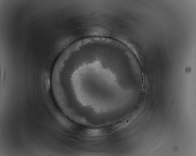 X0000102860061200809021434