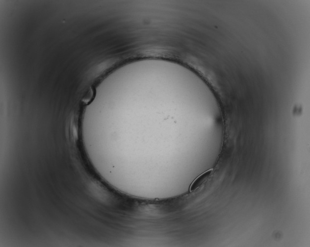 X0000102860062200809021434