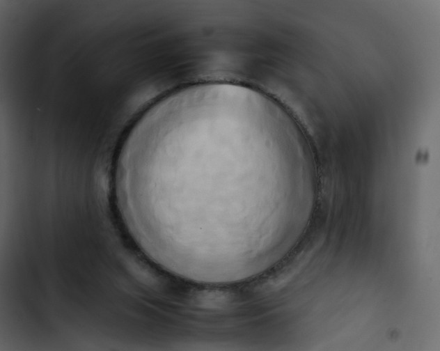 X0000102860063200809021434