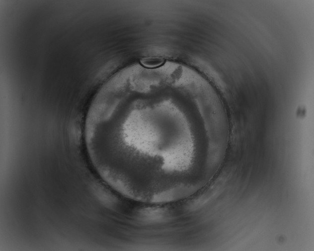 X0000102860065200809021434