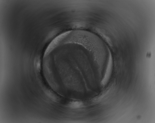 X0000102860067200809021434