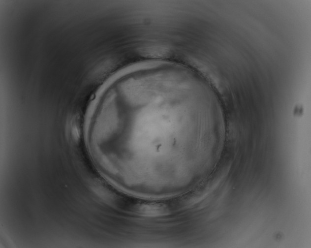 X0000102860069200809021434