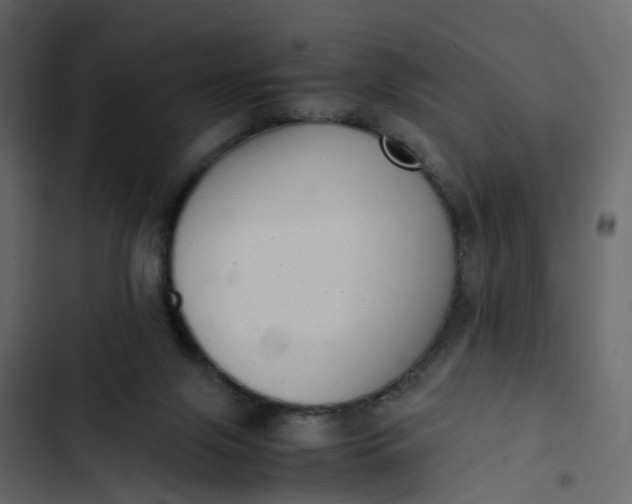 X0000102860071200809021434