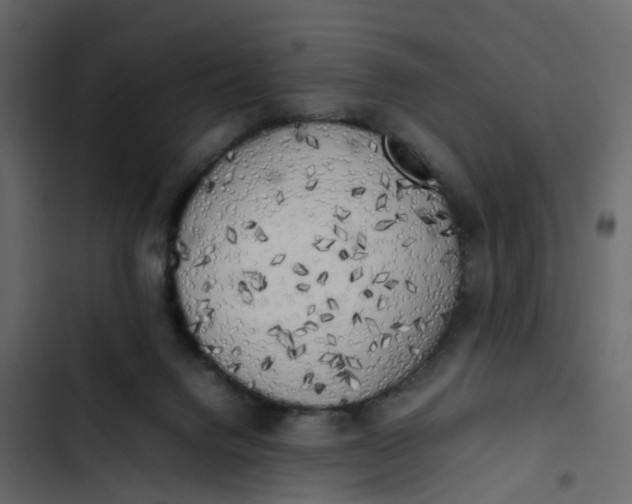 X0000102860072200809021434