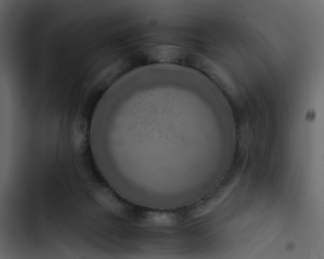 X0000102860073200809021434