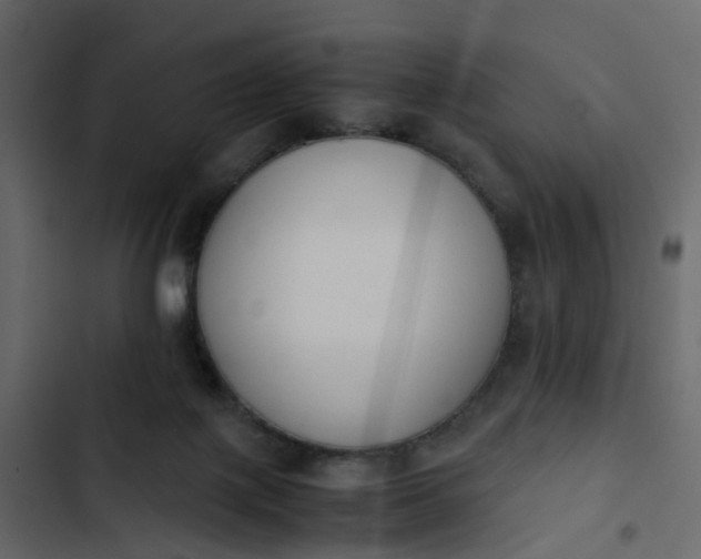 X0000102860075200809021434