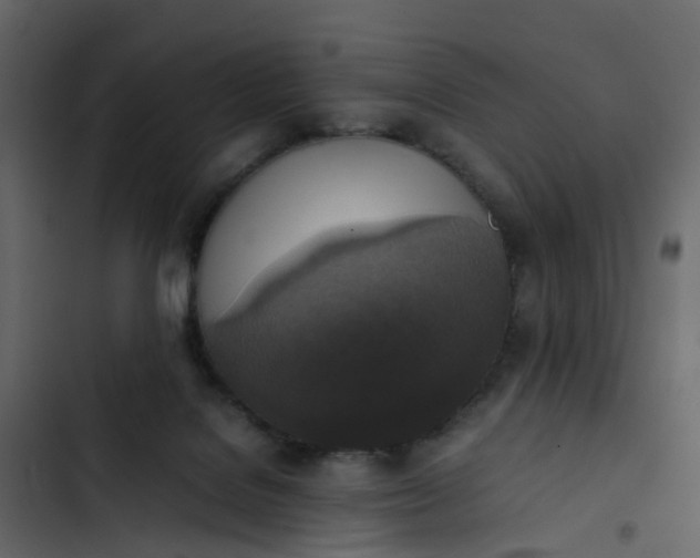 X0000102860076200809021434