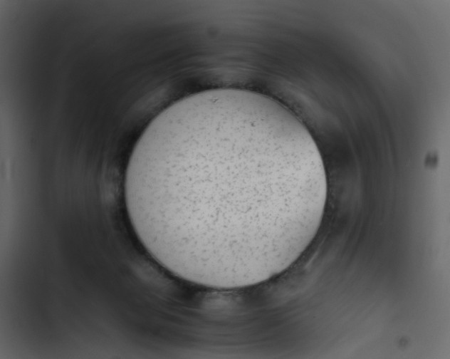 X0000102860077200809021434