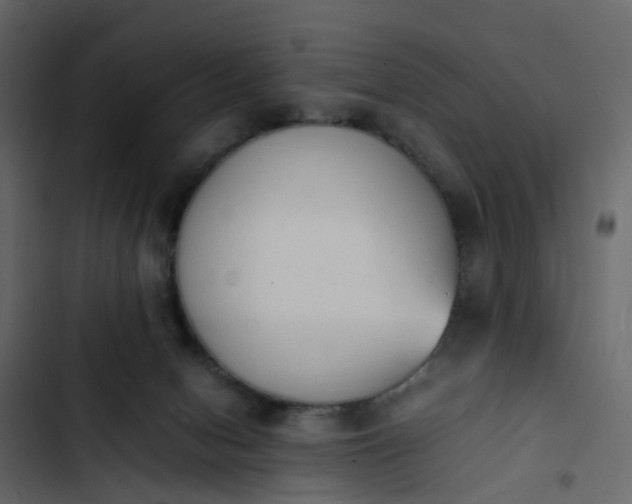 X0000102860078200809021434