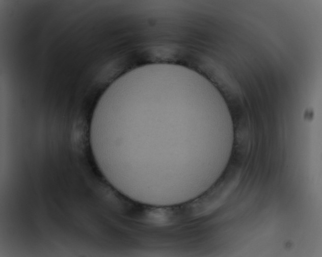 X0000102860079200809021434